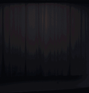 第五人格冒险家