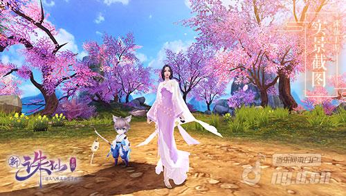 图4 稀有掌灯狸奴.jpg