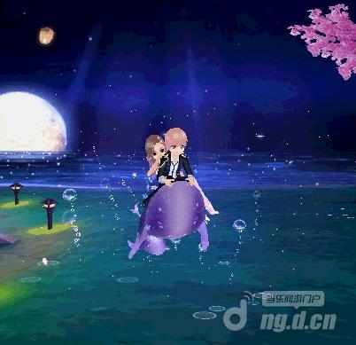 图12星空海豚.jpg